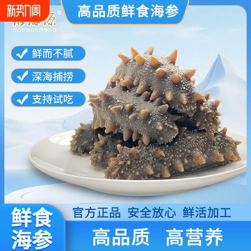 大连鲜食海参500g滋补佳品鲜食深海底播新鲜正宗辽刺参开袋