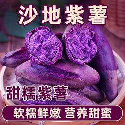 广东湛江紫薯紫红薯现挖农家现发地瓜蜜薯包邮香糯紫心新鲜沙地