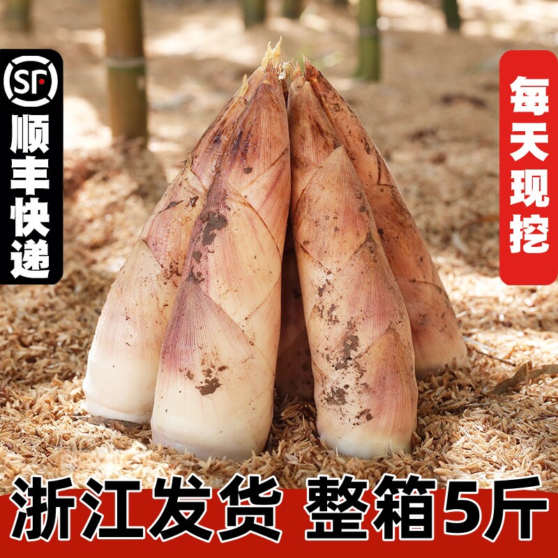 整箱顺丰浙江发货新鲜冬笋大竹笋鲜笋蔬菜野生新鲜现挖雷竹笋春笋