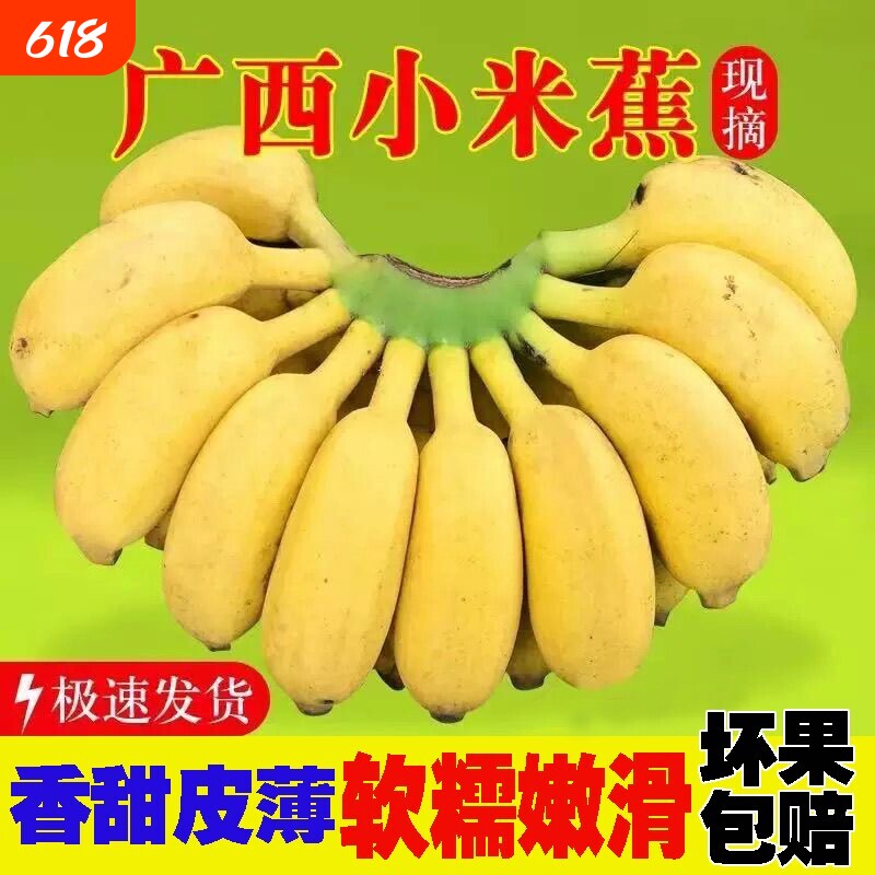 正宗广西小米蕉当季新鲜水果整箱装自然熟小香蕉现摘现发