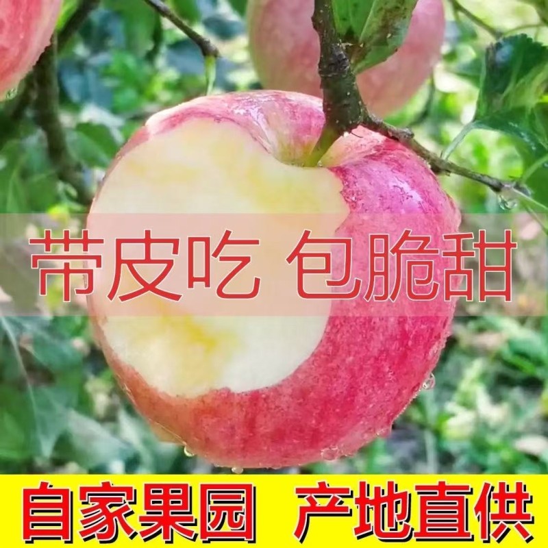 脆甜冰糖心红富士苹果当季水果新鲜冰丑苹果整箱苹果孕妇水果现摘