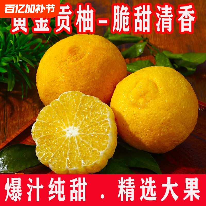 正宗象山青柑橘浙江宁波春香金柚黄金贡柚清甜当季红美人新鲜水果