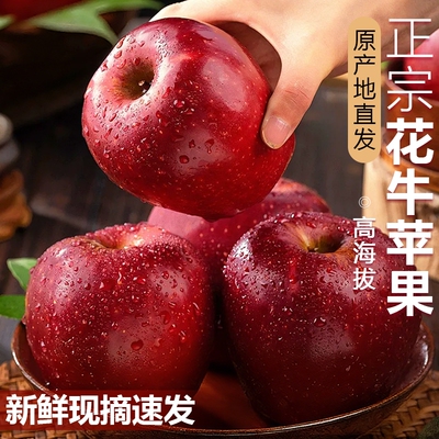花牛苹果正宗甘肃天水可脆水果新鲜整箱当季糖心红蛇粉面丑平安果