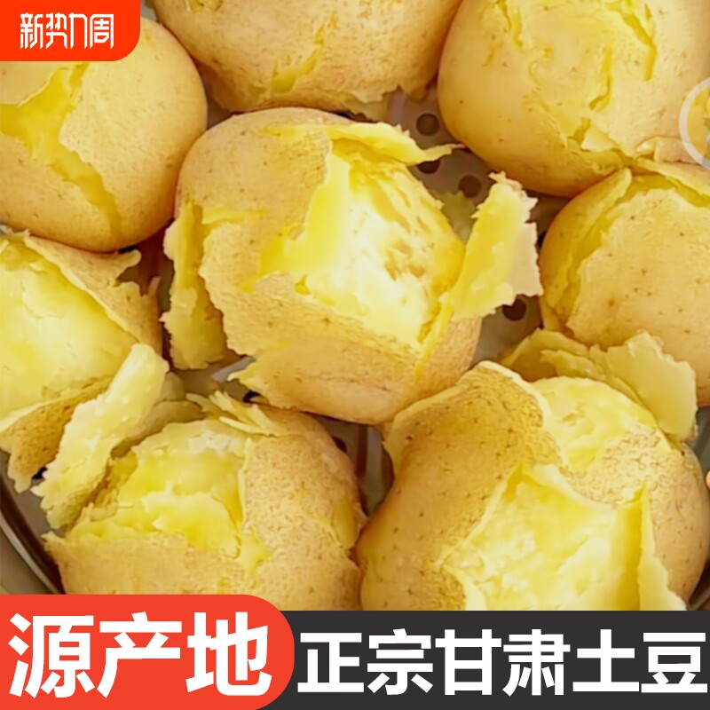 正宗甘肃定西沙面土豆黄心马铃薯蔬菜洋芋旱沙地种植新鲜现挖9斤