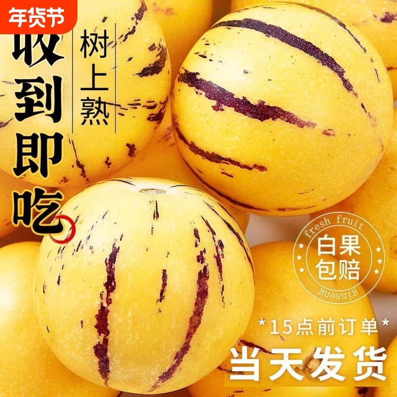 云南人参果水果圆果黄肉大果新鲜石林人叁果树上熟人生果整箱包邮,水产肉类/新鲜蔬果/熟食,人参果,淘宝优惠券,粉丝福利购,淘宝优惠卷