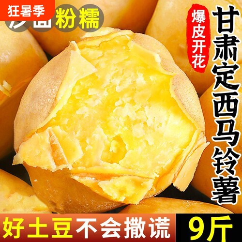 新鲜土豆甘肃黄心土豆马铃薯洋芋当季现挖土豆蔬菜批发3/5/9斤
