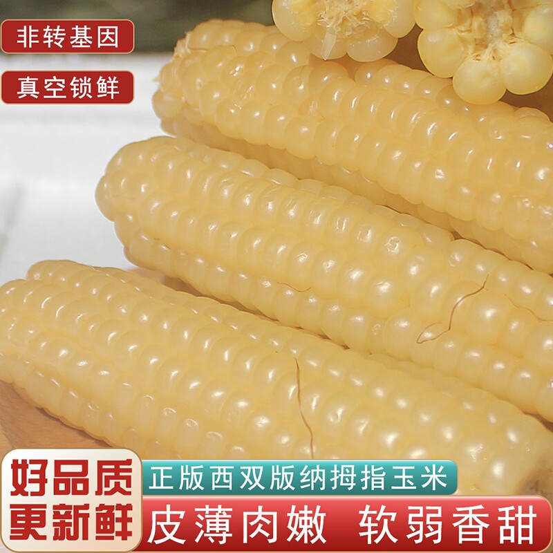 云南西双版纳拇指手指玉米宝宝代餐软糯香糯小孩早餐无添加真空袋