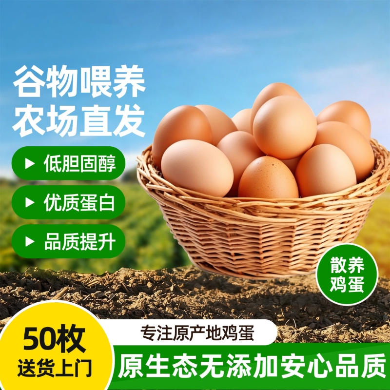 翁食光正宗农家散养鸡蛋营养土虫草谷物喂养50枚一颗农场回购优质