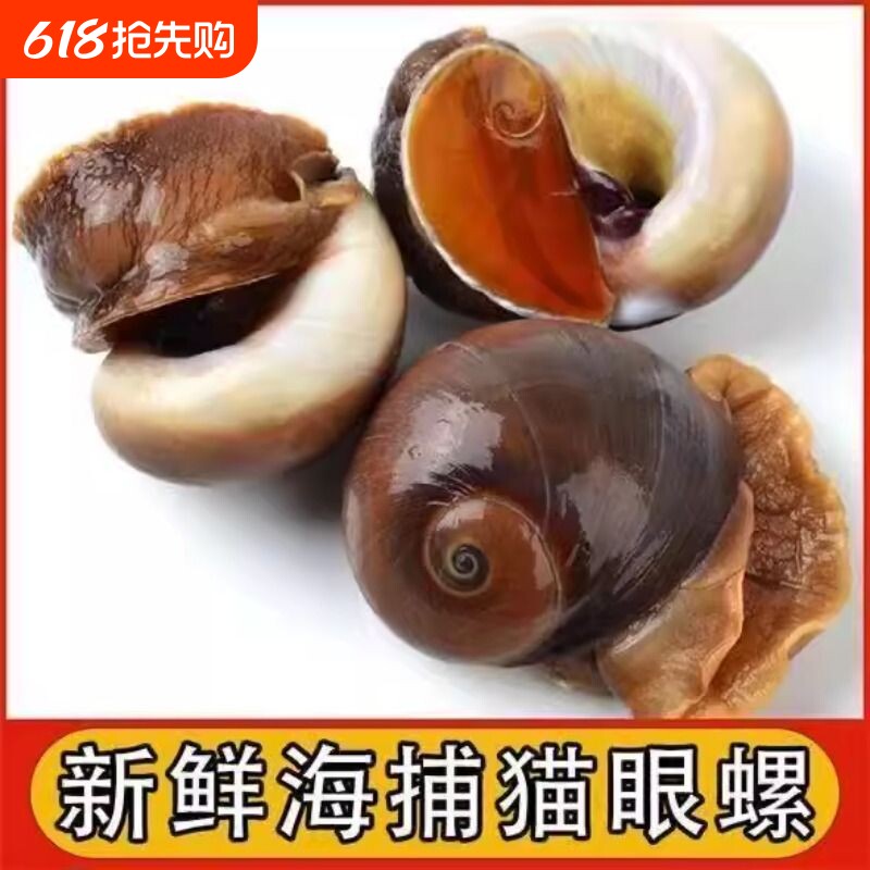 冷冻猫眼螺超大香螺特大沙螺海鲜水产扁玉螺肚脐螺小海螺贝类生鲜