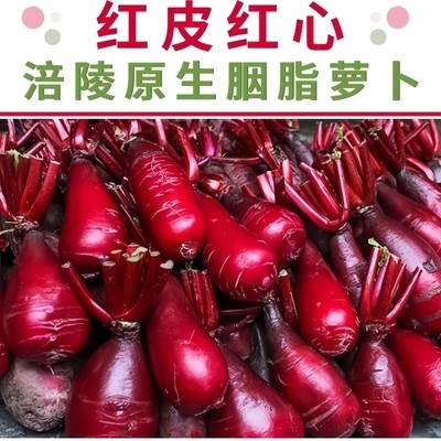 【萝卜已老起步空心介意慎拍】正宗涪陵新鲜红皮红心胭脂萝卜产地