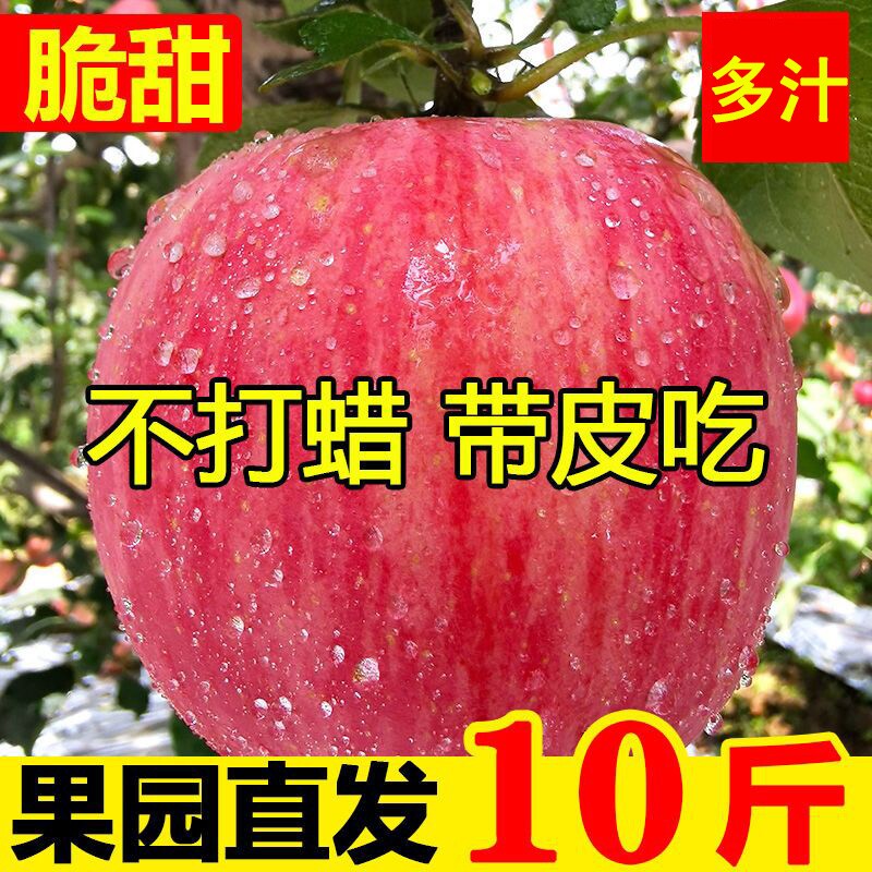 正宗红富士苹果丑苹果脆甜应季当季孕妇新鲜水果一整箱批发价