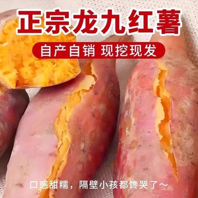 新鲜龙九蜜薯板栗红薯农家自种非西瓜红糖心沙地红心番薯地瓜软糯