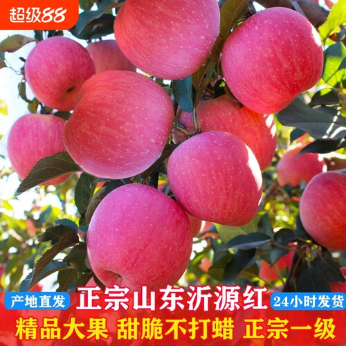山东红富士沂源红苹果脆甜多汁