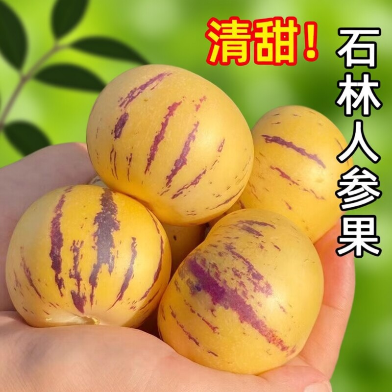 人参果云南石林鲜果精品新鲜水果七彩黄肉圆果特产当季现摘果子