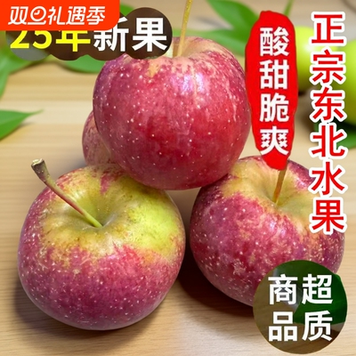 东北正宗龙丰果甜酸爽口小苹果