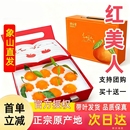 正宗象山红美人柑橘爱媛28号果冻橙新鲜采摘桔子礼盒 官方授权