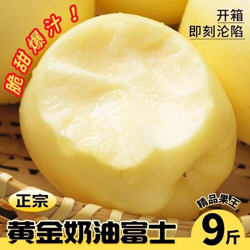 烟台苹果黄金奶油富士新鲜水果脆甜多汁现货平果当季鲜果整箱包邮 - 封面