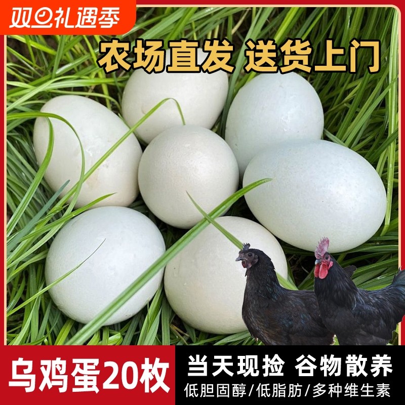 绿壳鸡蛋乌鸡蛋正宗农家散养50枚大别山跑山鸡蛋正宗土鸡蛋新鲜