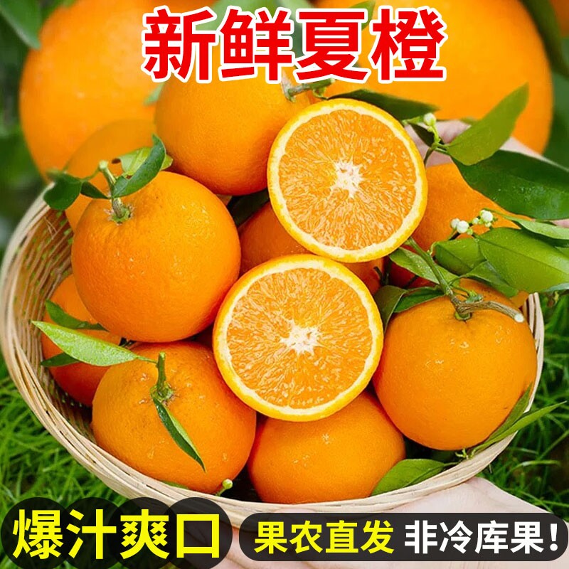 脐橙特大果整箱|108人收藏图片