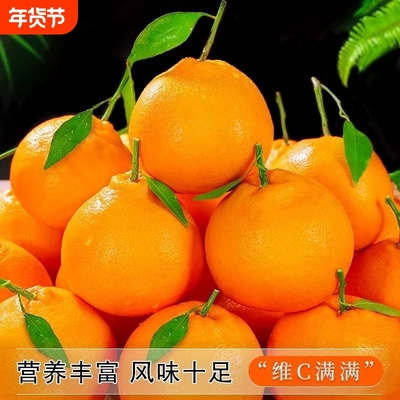 四川眉山正宗春见耙耙柑新鲜水果当季蜜橘桔子现采直发天然维c