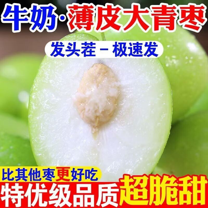 福建漳州正宗牛奶大青枣新鲜现摘贵妃蜜枣应季老人儿童水果冬枣子