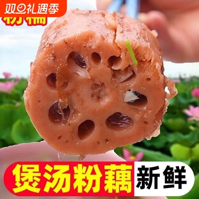 洪湖莲藕湖北特产莲藕煲汤佳品