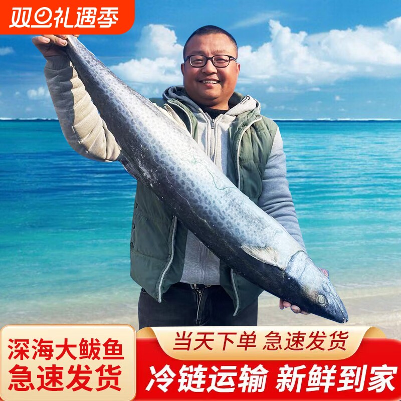 山东蓝点大鲅鱼深海马鲛鱼冷冻燕尾鲅鱼单条4-15斤左右礼盒装送礼