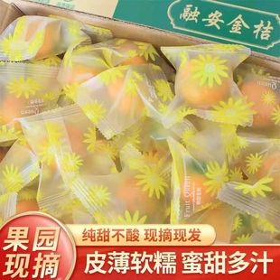 融安滑皮金桔纯甜应季正宗广西脆皮小金桔新鲜水果独立包装现摘