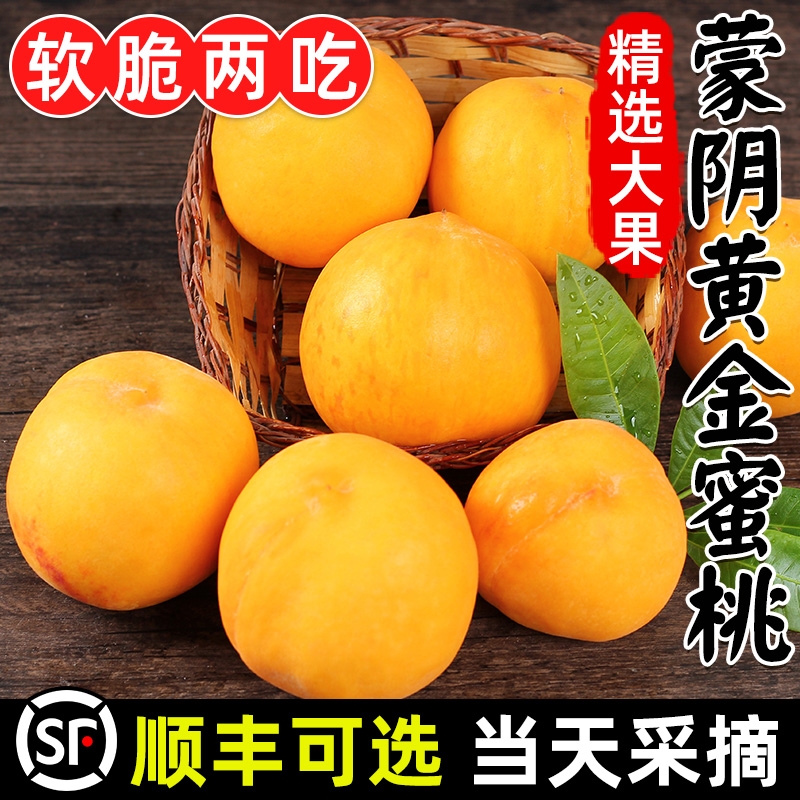 蒙阴锦绣黄桃新鲜水果10斤当季现摘桃子露天蜜桃黄肉毛桃大果整箱
