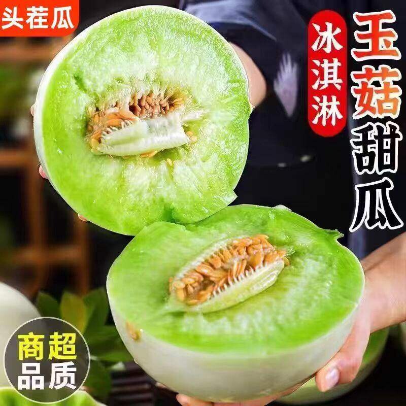正宗玉菇甜瓜新鲜水果当季香瓜蜜瓜冰淇淋哈脆甜密瓜海南香甜大果