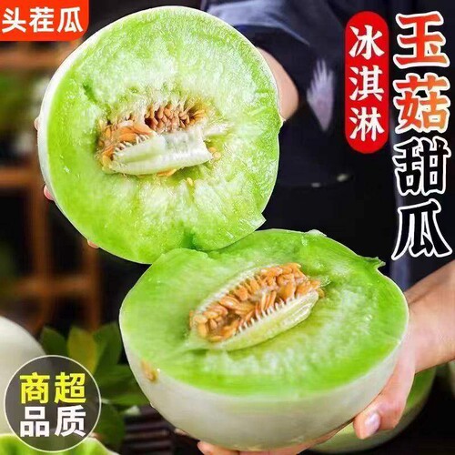 正宗玉菇甜瓜新鲜水果当季香瓜蜜瓜冰淇淋哈脆甜密瓜海南香甜大果