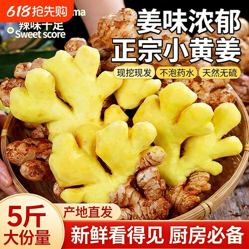 生姜老姜云南小黄姜红河新鲜老姜现挖高山沙姜土姜5斤老姜