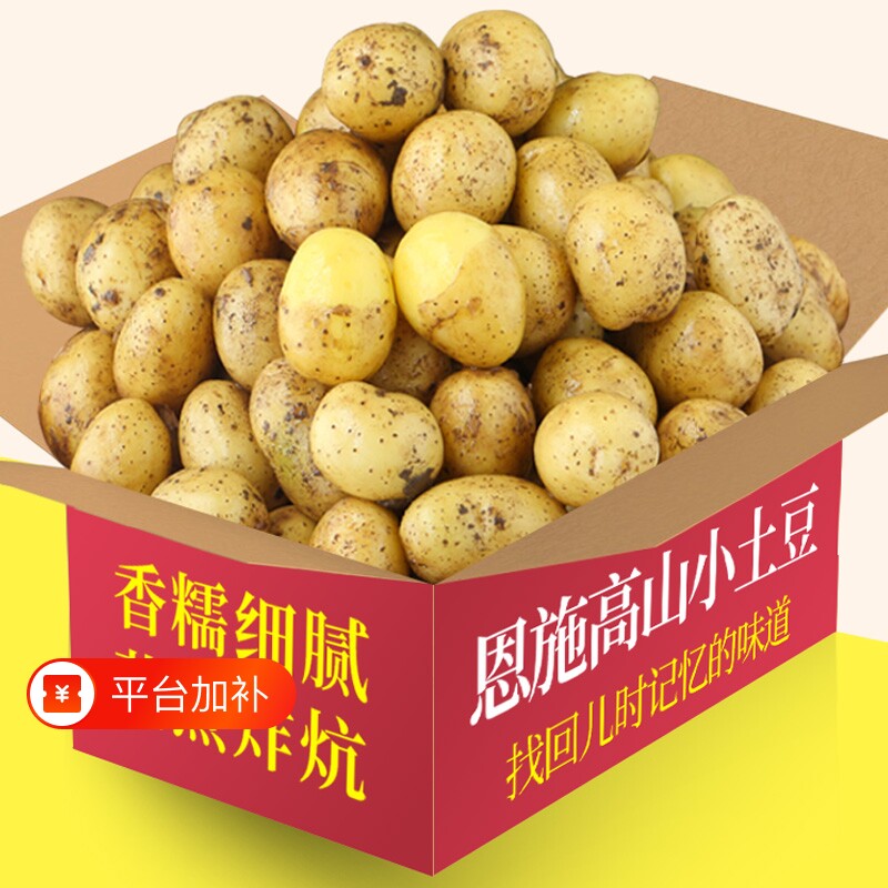 恩施小土豆整箱包邮新鲜高山洋芋迷你黄心士豆当季湖北马铃薯蔬菜