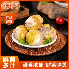 40枚五香活珠子新鲜13天毛蛋熟开袋即食毛鸡蛋钢化蛋麻辣味香辣