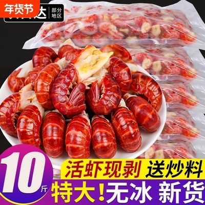 无冰特大号龙虾尾10斤新虾上市