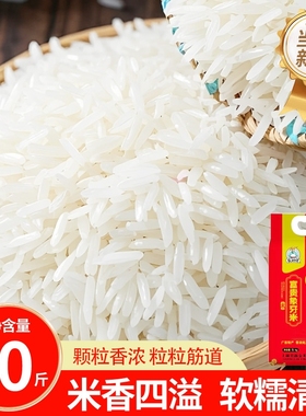 正宗上林象牙米超长粒香米新大米丝苗米5KG真空装长粒猫牙米10斤
