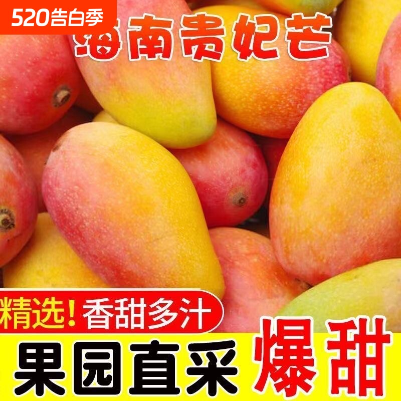 彩箱正宗海南贵妃芒果应季红金龙新鲜孕妇薄皮水果当季热带包邮