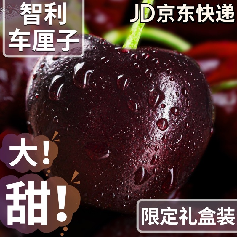 智利进口车厘子新鲜水果当季整箱5斤礼盒装原箱3J大樱桃包邮时令,水产肉类/新鲜蔬果/熟食,车厘子/樱桃,淘宝优惠券,粉丝福利购,淘宝优惠卷