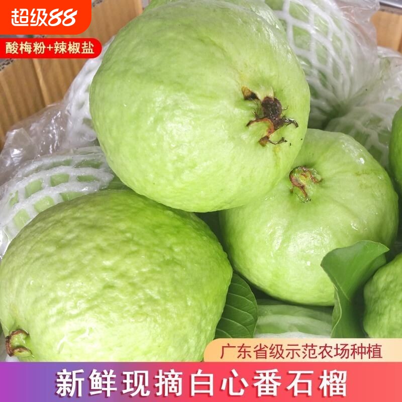 广东白心番石榴芭乐脆甜低糖当季水果鲜果新鲜采摘批发包邮孕妇分