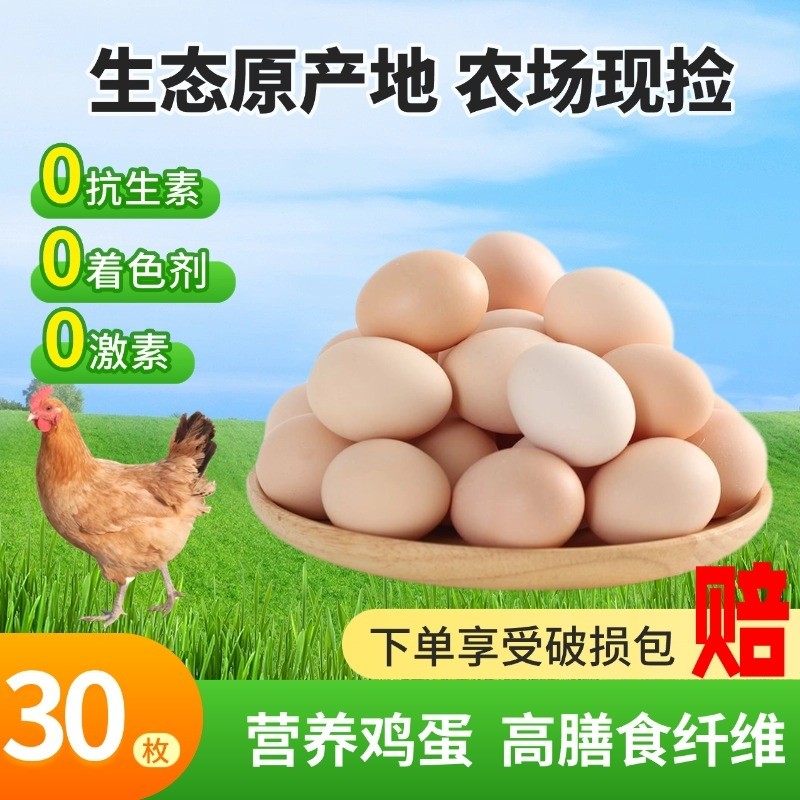 【全网爆款】农家鲜土鸡蛋新鲜现捡正宗农村柴鸡蛋笨鸡蛋礼盒送人,水产肉类/新鲜蔬果/熟食,鸡蛋,淘宝优惠券,粉丝福利购,淘宝优惠卷