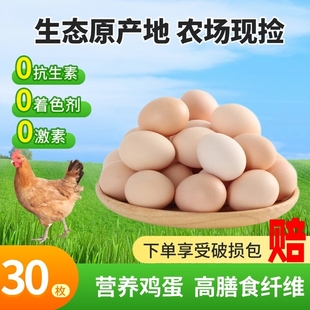 【全网爆款】农家鲜土鸡蛋新鲜现捡正宗农村柴鸡蛋笨鸡蛋礼盒送人