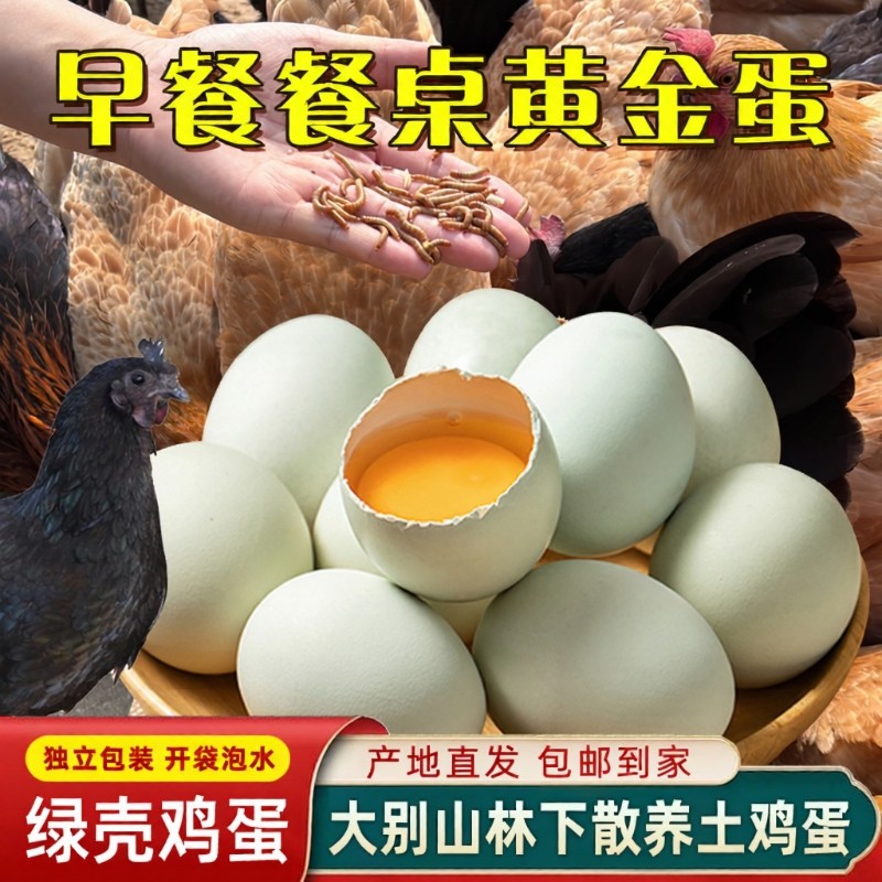 散养土鸡蛋绿壳鸡蛋50枚山林儿童吃新鲜农家鸡蛋现发农场乌鸡早餐