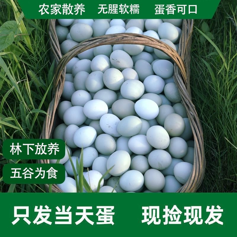 新鲜农家散养绿壳土鸡蛋乌鸡蛋笨鸡蛋天然绿壳蛋包邮山林谷物