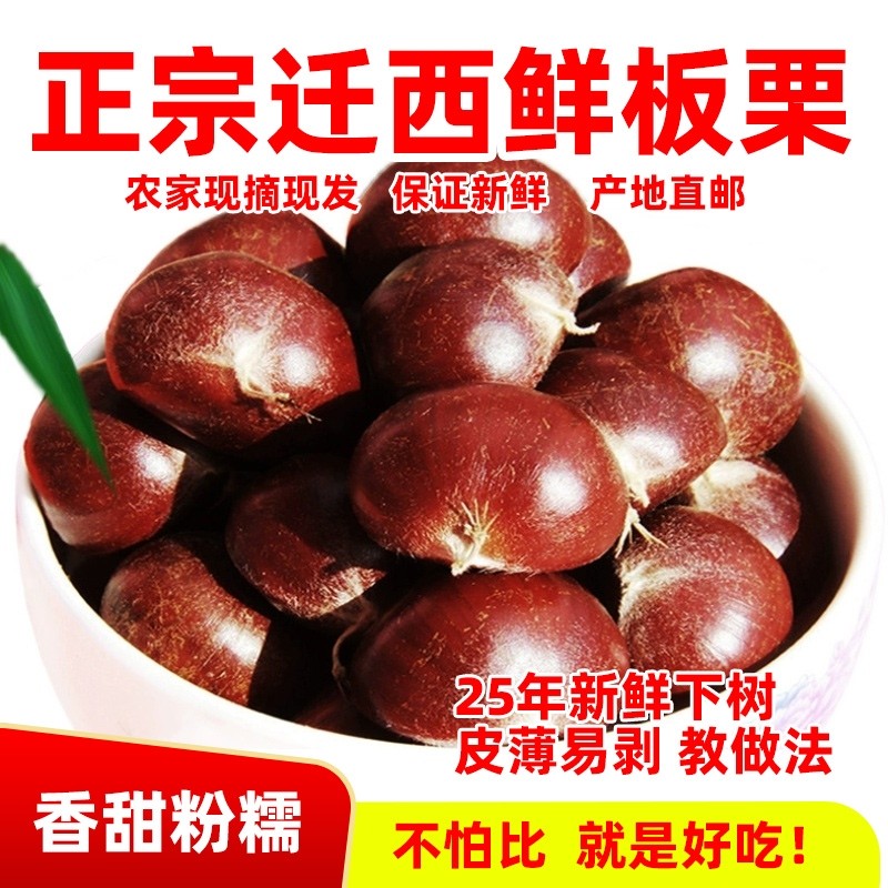 2025年正宗河北唐山迁西板栗生新鲜栗子3113燕山油栗子产