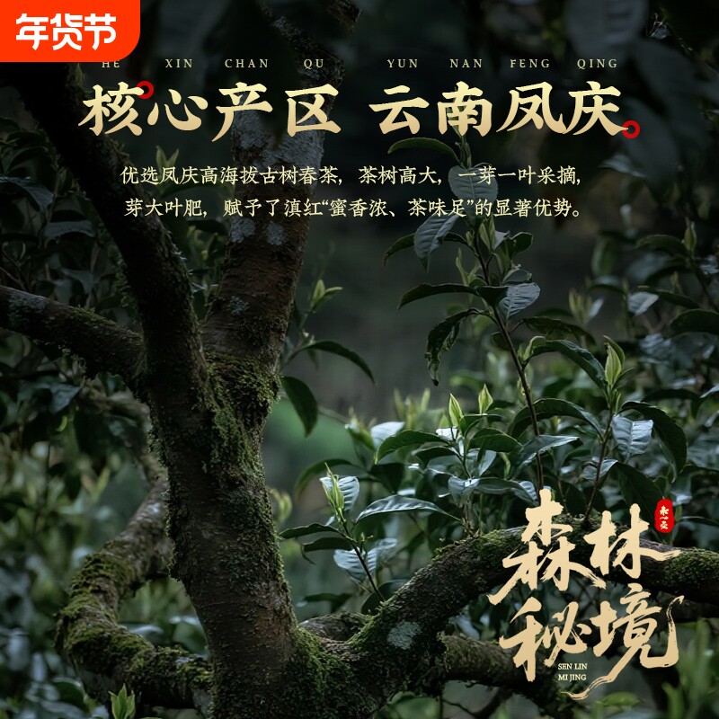 2025春茶滇红毛峰特级原料红茶蜜薯花香韵味十足散装茶叶