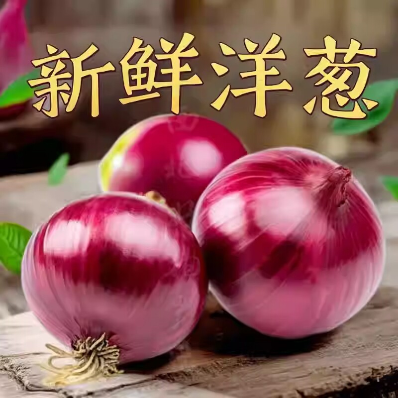 云南新鲜食材紫皮洋葱圆葱厨房调味农家蔬菜洋葱新鲜蔬菜葱头辛辣