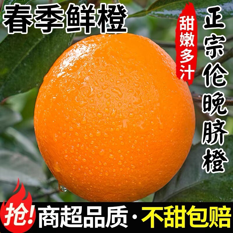 正宗伦晚脐橙春橙秭归橙子当季新鲜水果整箱手剥果冻甜榨汁大果