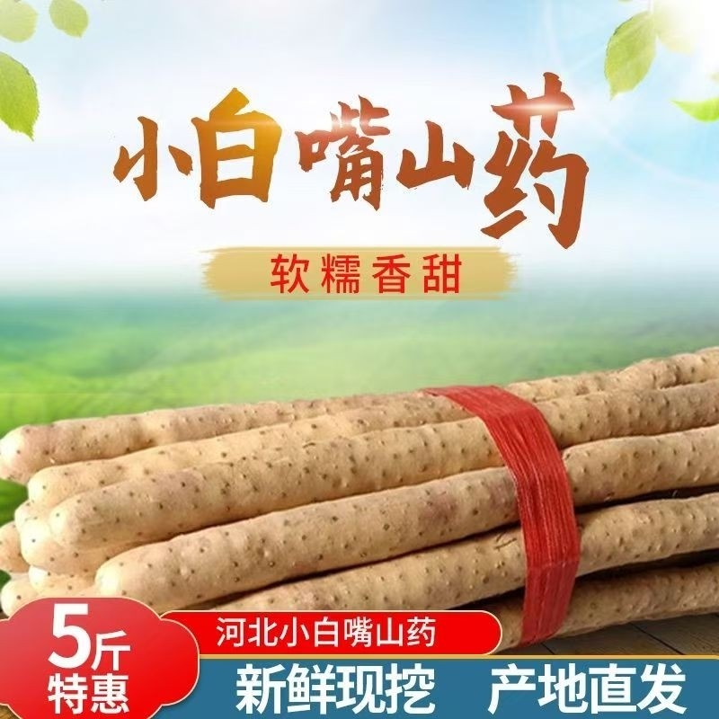 河北正宗小白嘴鲜山药铁棍山药5斤新鲜软糯香甜产地直发宝宝辅食
