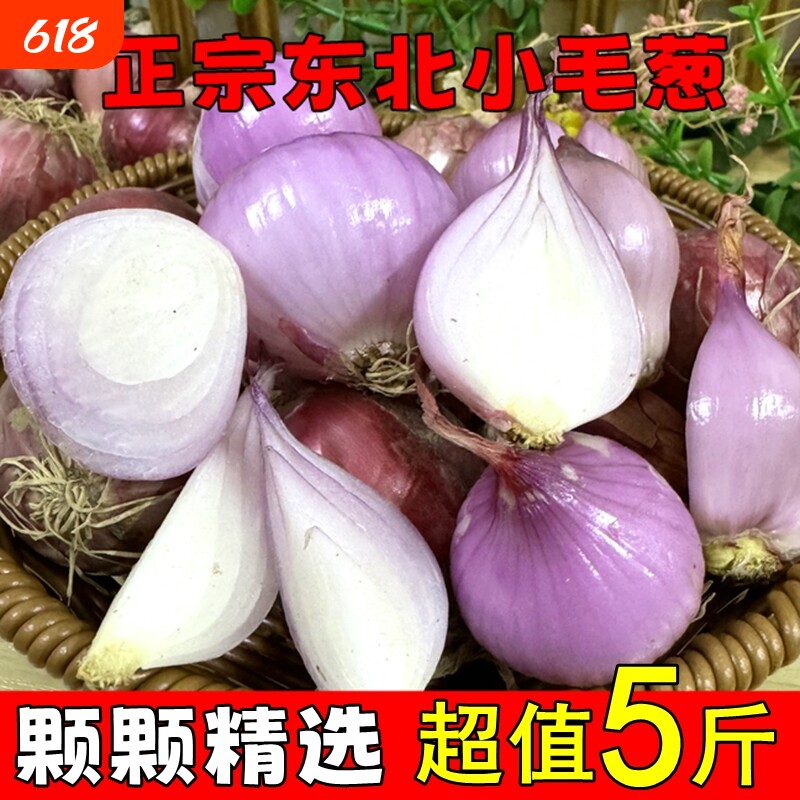 新货正宗东北毛葱农家红葱头圆葱鬼子葱小圆洋葱5斤装葱商用整箱