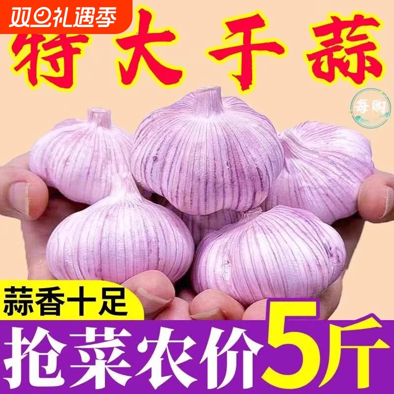 河南杞县大蒜干蒜1斤/3斤/5斤特大果农家鲜大蒜批发自种紫白皮